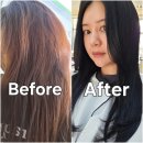 리안헤어송탄점 | 헬로버블 셀프염색 실패하고 송탄미용실 리안헤어 톤다운 후기
