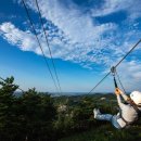 고노동길 이미지