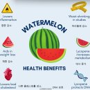 수박과 전립선 건강 이미지