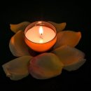 케이제이더블유 | 김민정 님(사업체 총괄이사) - 액티브 명상 1, 2단계 워크숍 후기