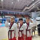 용인대엘리트태권도체육관 | 전라북도 완주군 용인대태권도 청우체육관, 리뷰, 연락처, 후기