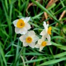 김원삼행정사사무실 이미지