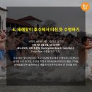 퀘백!! 1월 초에 가려는데 같이 가실분!!! 그리고 1월1일 서니사이드비치 입수 하실분!! 이미지