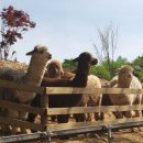 수출대로 이미지