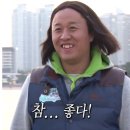 코디마