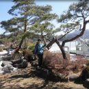강촌산장