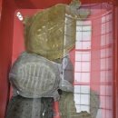 민물건강원 이미지