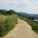 동향면 행정복지센터 이미지