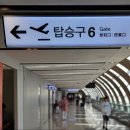 포항여행 | 김포 → 포항경주공항 호미곶 상생의손 포토존 간식 맛집