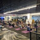 더뉴바디스미스 이미지