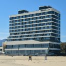 호텔르네 | 르네블루 바이 쏠비치 호텔 디럭스 더블 오션뷰 객실 숙박 후기