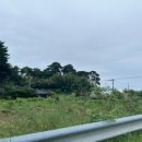 원시한증막 이미지