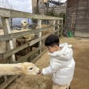 지율목장 이미지