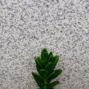 삼척세무서태백지서 이미지