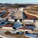 닭공장 국민일보