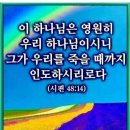 흉배에 우림과 둠임을 넣고 이미지