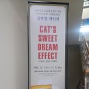 장성공공도서관 | 김하영 개인전, 고양이의 꿀잠 이펙트, 전라남도교육청 장성도서관 갤러리 뜨락 (12월 1일-31일)