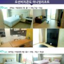 비치블랙스톤 이미지