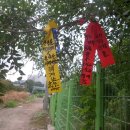 운암농로 이미지