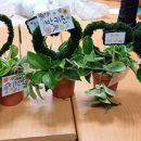 (사)경북장애인권익협회 영천시지회 이미지