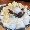 모찌네타코야끼콩떡빙수