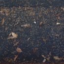 잠원동001 이미지