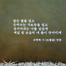 조현묵「보름달」 Daum카페