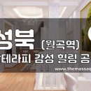 탑테라피 Daum카페