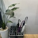 더바른교정재활센터 | 해운대 장산역 | 교정도 PT도 한 번에! 더 바른 교정 재활센터 방문 후기