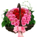 참좋은이웃 이미지