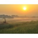 안성농장 이미지