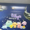 메아리식당 | 당일치기 대유잼의 도시 밀가루만만세 1편 (광천식당 오스하우스피자 소품샵 성심당문화원 메아리상점)