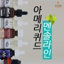 아메리퀴드 네이버블로그
