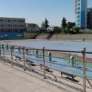 하단동1172 이미지