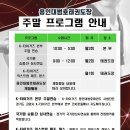 도민태권도장 이미지