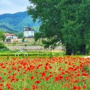 초정목장 이미지