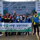 도시달팽이 이미지