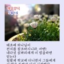 샬롬 네이버블로그