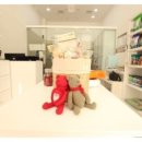 티파니펫 이미지