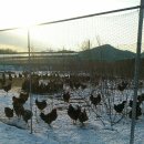 연우농장 이미지