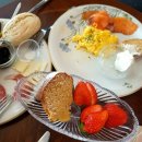 샤츠(Schatz) 이미지