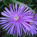 사랑은 아름다워라 이미지