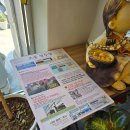 조종새싹로 이미지