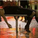 취중천국 이미지