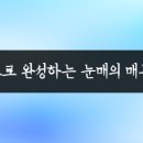 래쉬라인
