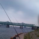 풍경장어 이미지