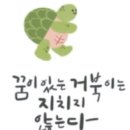 밤참몰