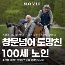 창문 넘어 도망친 100세 노인 | 영화 창문넘어 도망친 100세 노인 줄거리와 교훈 원작 비교