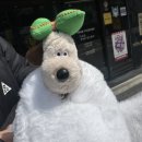 빅토리게임랜드 이미지