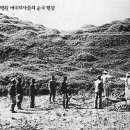진해시청좀 제발 말려주세요!!!!! 이미지